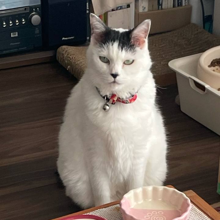 8b15057d 3777 4afc a527 95c41b568ddd 1763273702934