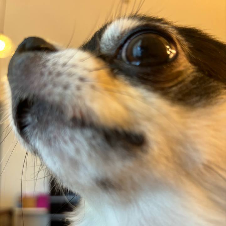 8b1542a2 87db 4845 a3b3 9ce407ee41d0 1726331321460