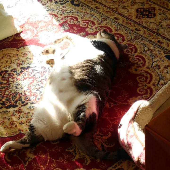 8b155b13 94c3 4e91 ab8a b35b9bd7ac94 1519947051237