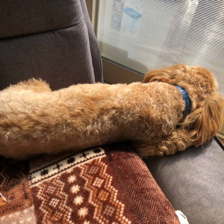 8b155c76 3b25 47f4 af02 35f466239c19 1613895751179