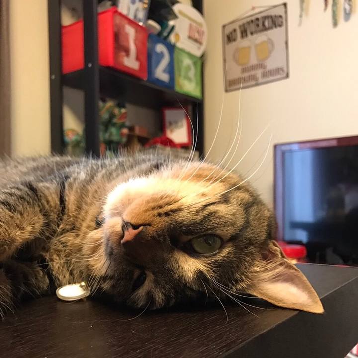 8b156b2f 40ca 41de bfa8 92ea2acdff00 1548167926591