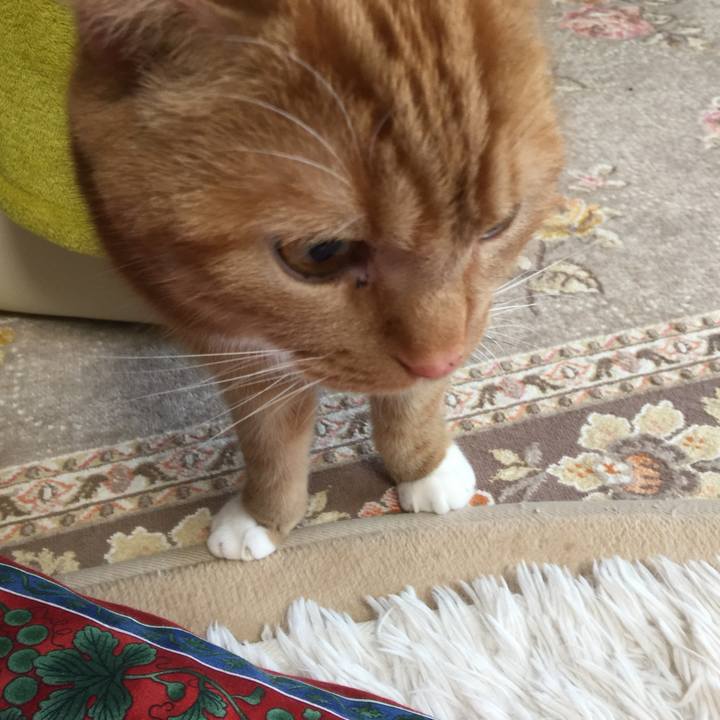 8b1589f7 c3ca 4861 be90 a78a1f08fb7e 1550703465068