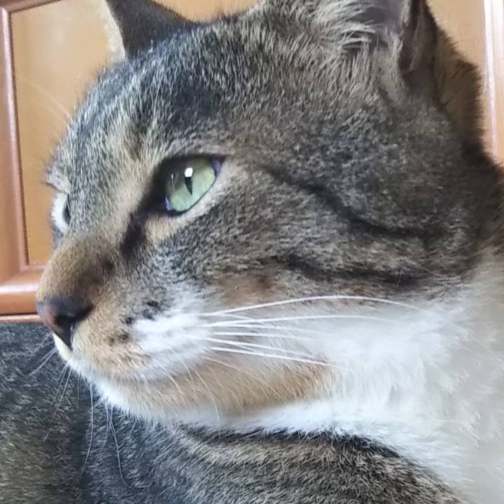 8b15b3e2 c276 4823 8428 d29d273a3a4c 1605237609255