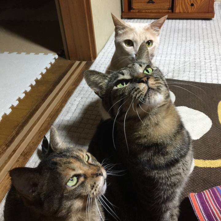 8b15b729 ffeb 489f 9a9c bd30578deb2d 1515501672976