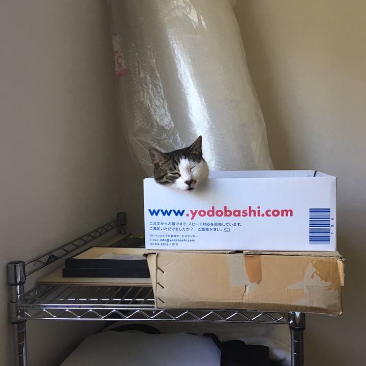 8b15bd5e 2e5b 4780 be69 8f08285215d7 1532052356996