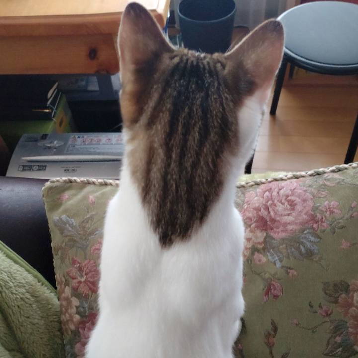 8b15cad8 4564 452e 83bc cff79dbe36ef 1647589666548