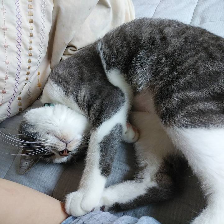 8b15d53d 2880 47ca a53c dfb07b3e901f 1586393454980