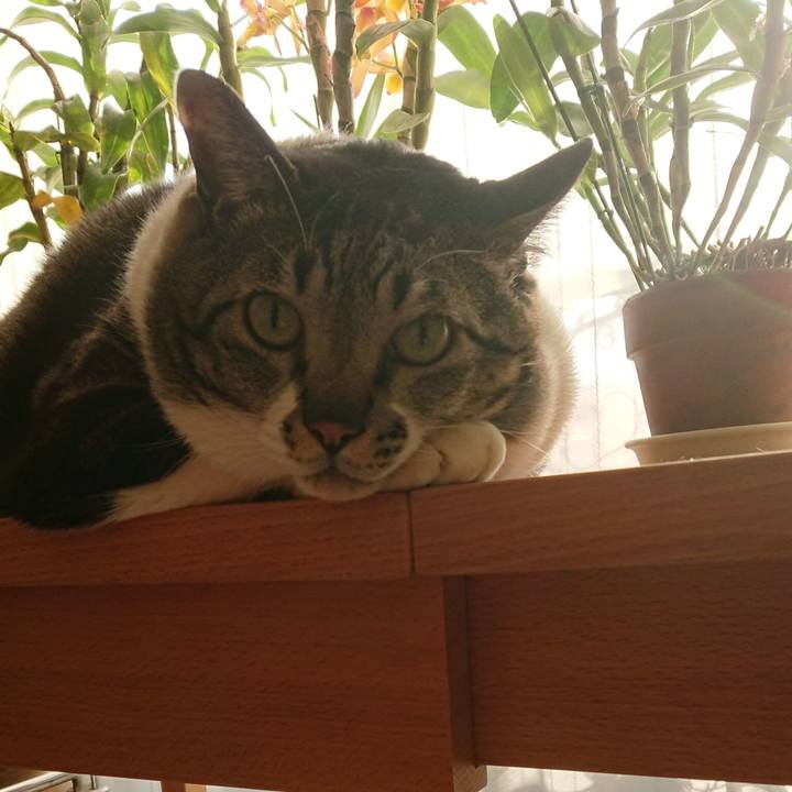 8b15d928 07cf 458e aef7 9832d03d10a2 1553604386445