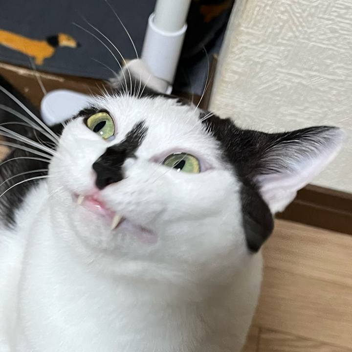 8b15d9ea 8246 434c 8cf7 0e16031beb1f 1768648413915