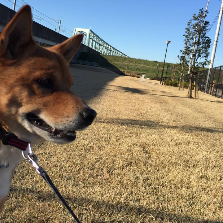 8b15eb1b 384e 47aa a21d ec227163edba 1608350472411