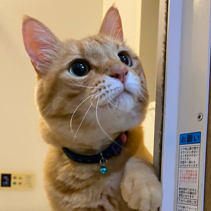 8b1601da 9141 4623 9d5d 8f94c6445519 1629855336701