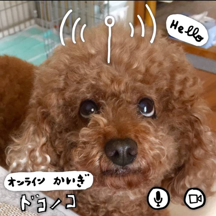 8b162eb5 b21b 45a2 88a9 1c0c19d6b215 1590758214533