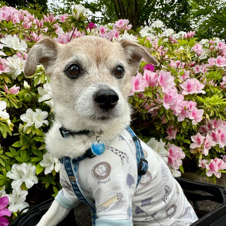 8b163b5b 84b7 4bb1 8f79 3c4c4cbf3bfa 1745320506983