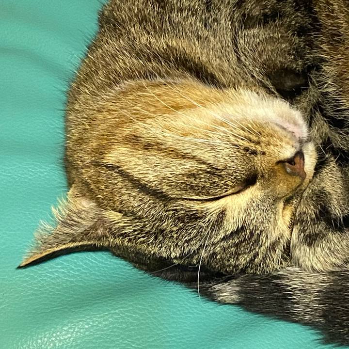 8b163f03 3803 4ea3 a31a 311d43b37844 1616777933934