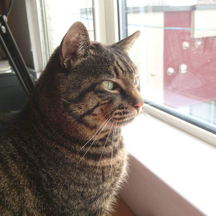 8b16562d 8bc5 4123 af59 8432e677cb03 1516073059628