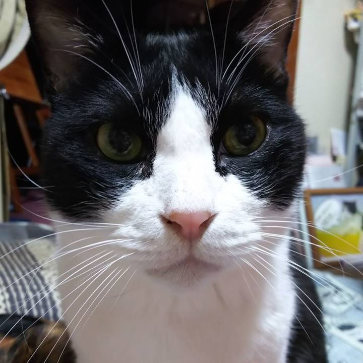 8b16b72c 93b8 4858 8ede aac6b19158ef 1572991192996