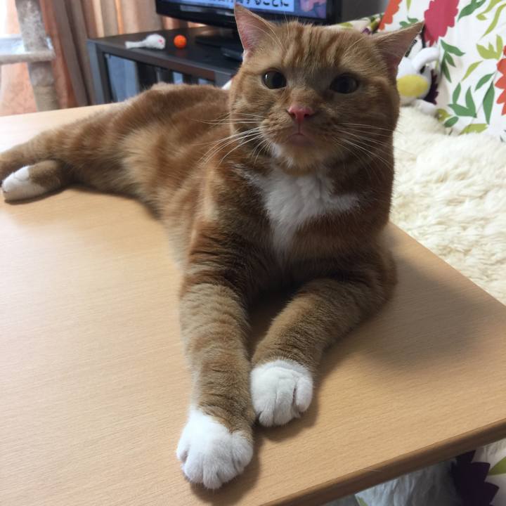 8b16b930 6050 4550 9989 d7e465f8130e 1536274265956