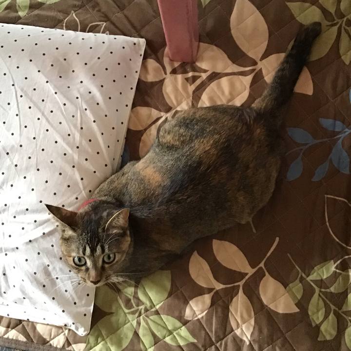 8b16e098 dde5 4aec be97 a1c6894fdcf4 1602036646210