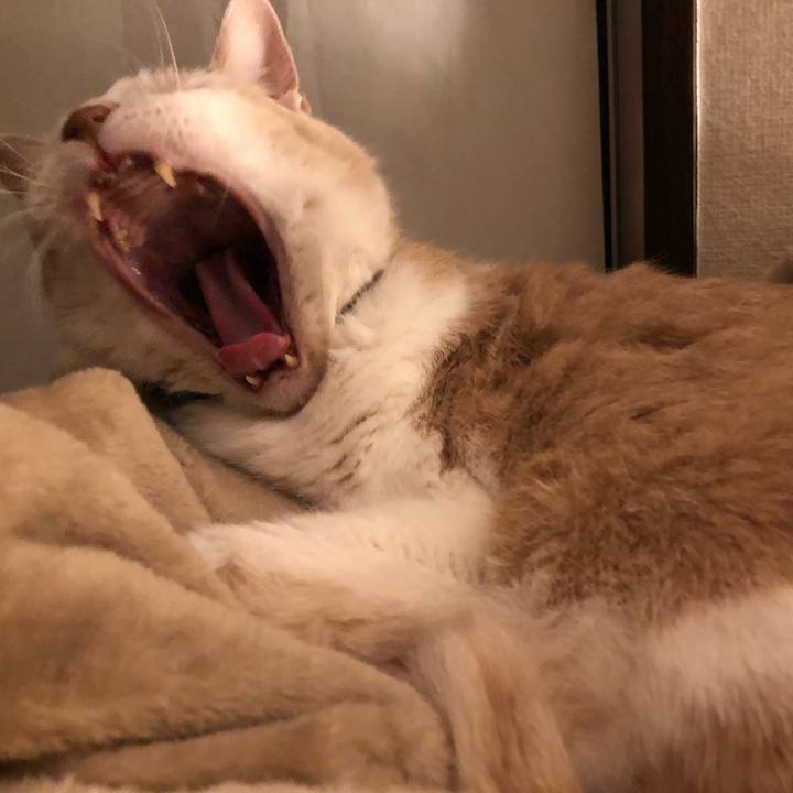 8b16fcec 8f61 418c 901a ae81ce965789 1609107848572