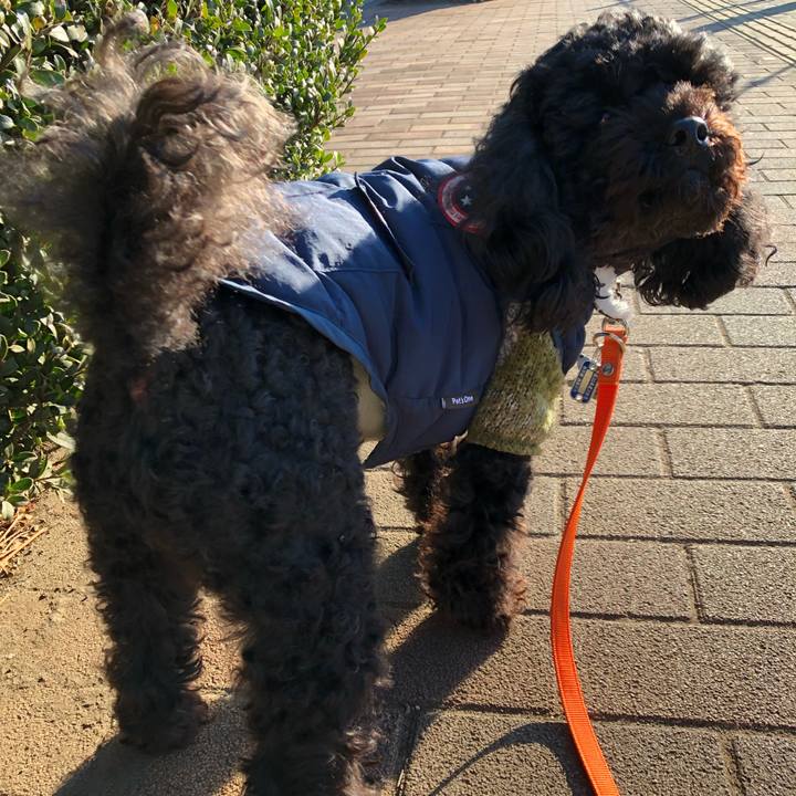 8b172ce3 ba1e 4780 8447 562f82412a0c 1546655500395