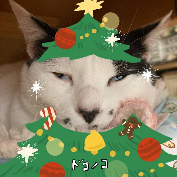 8b175c3f da81 42ab b031 0c419cdd0154 1762559836094