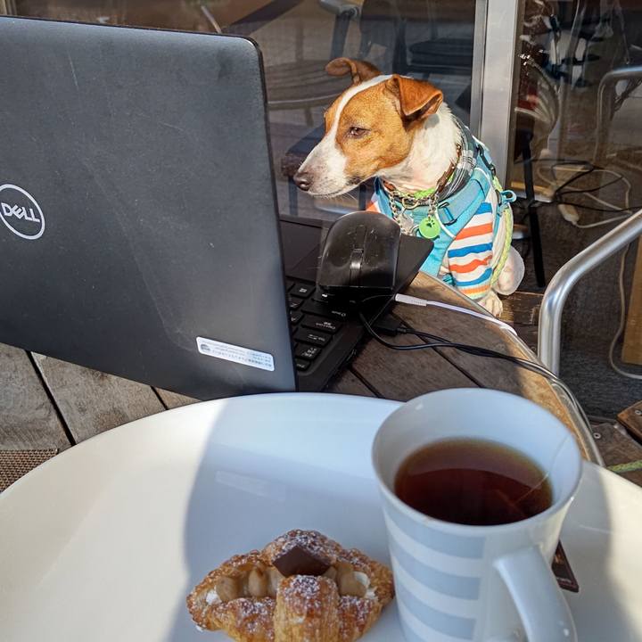 8b176521 9fd6 4411 b4d2 41ac846e808e 1633694619650