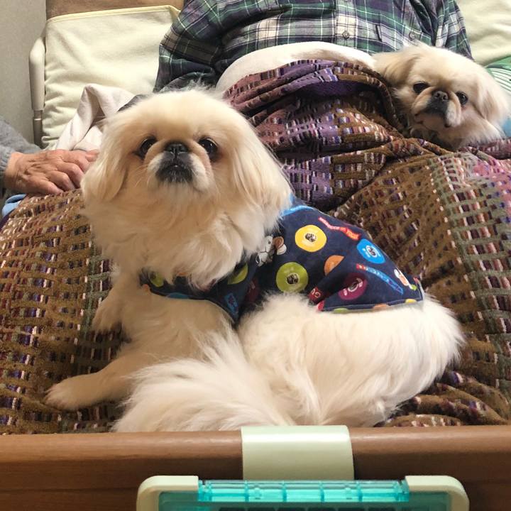 8b178a1e fc4d 4a7d ab88 9d1449d02836 1547264534242