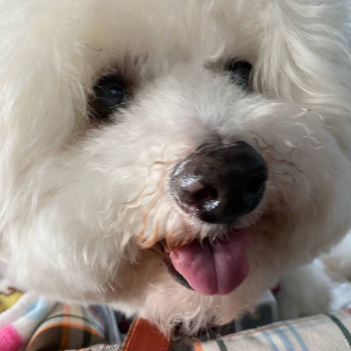 8b179954 b64b 4e31 a469 7a9a3eb9b722 1682832504729