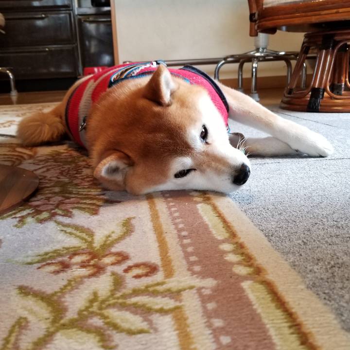 8b17ac33 c690 434e 8e7b 611f0df16fb1 1552783362481