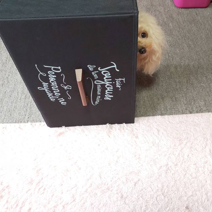 8b17c8ac 255a 4356 89ae a2cbf3daf7ed 1580815606033