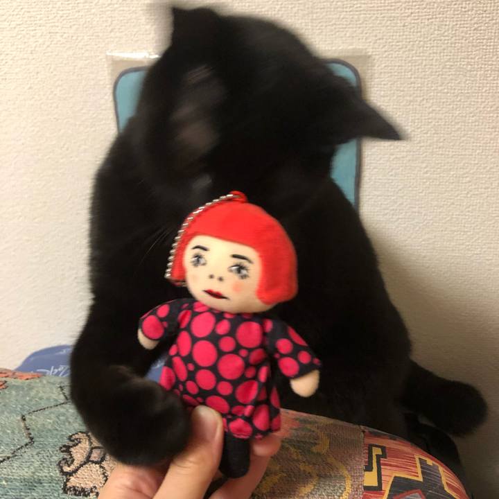 8b17e02f eb49 471e 8a5d c141cb321a17 1529021221122