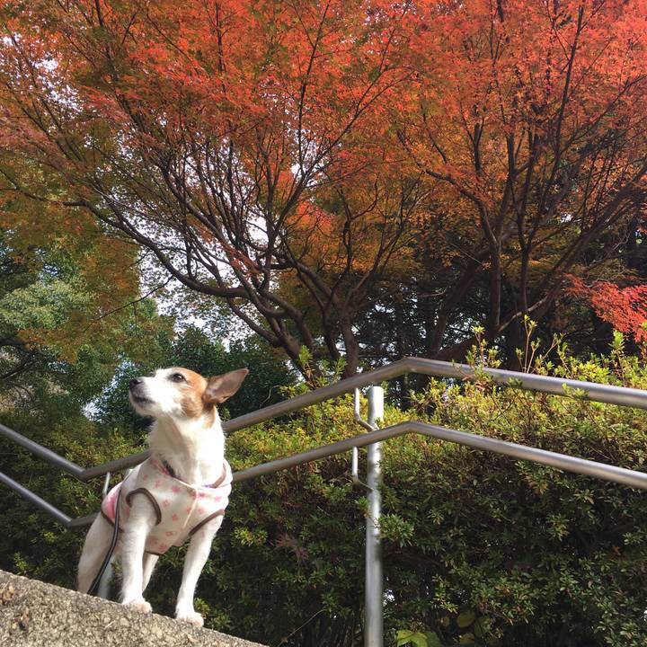 8b18229f 2828 4cf6 b140 ad6da8ad6a6b 1638061551112