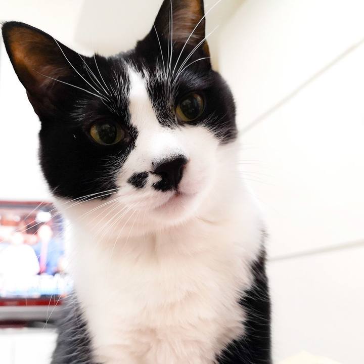 8b185918 afa3 4bff 8fa1 b91c3a446370 1579359498126