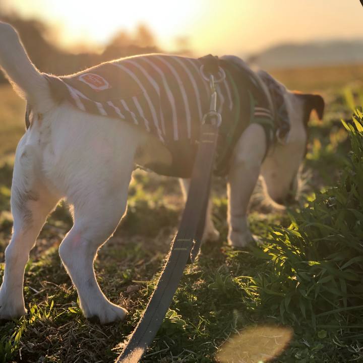 8b185def a9ec 4439 9390 9e6bad064d0b 1550997383593