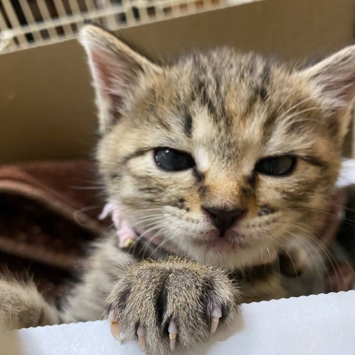 8b188690 c239 4e6c acd2 314e145423fc 1637230523546