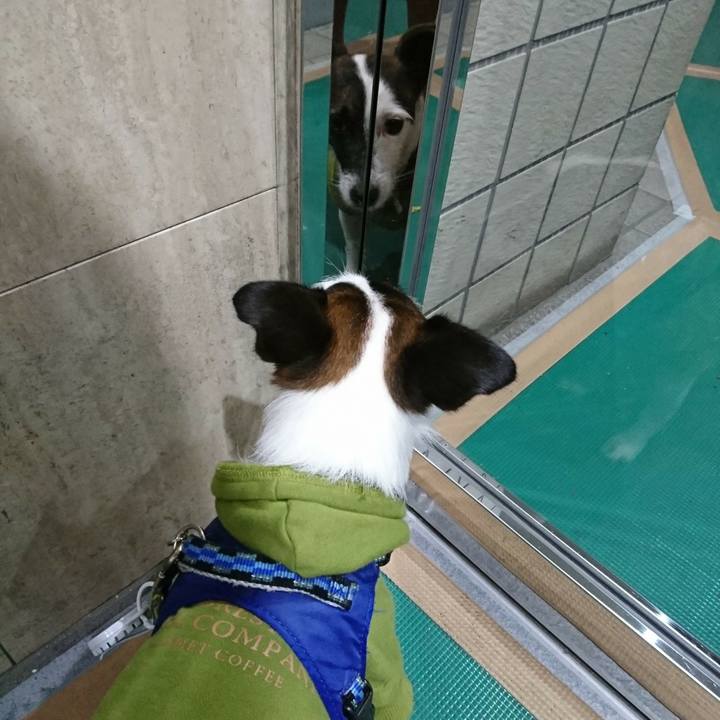 8b1899da b374 4b3d ab52 8a5c59af960d 1512079797785