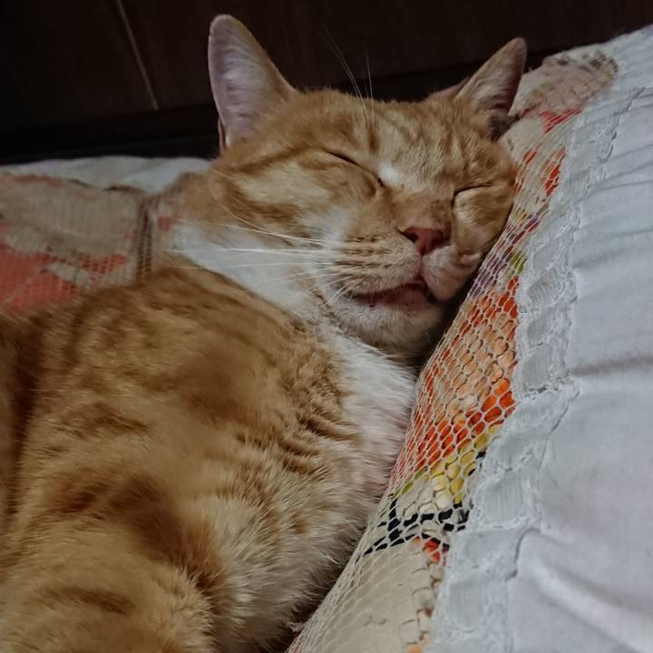 8b189c0b 49fe 449d a5f2 7d55cf43681d 1577537839300