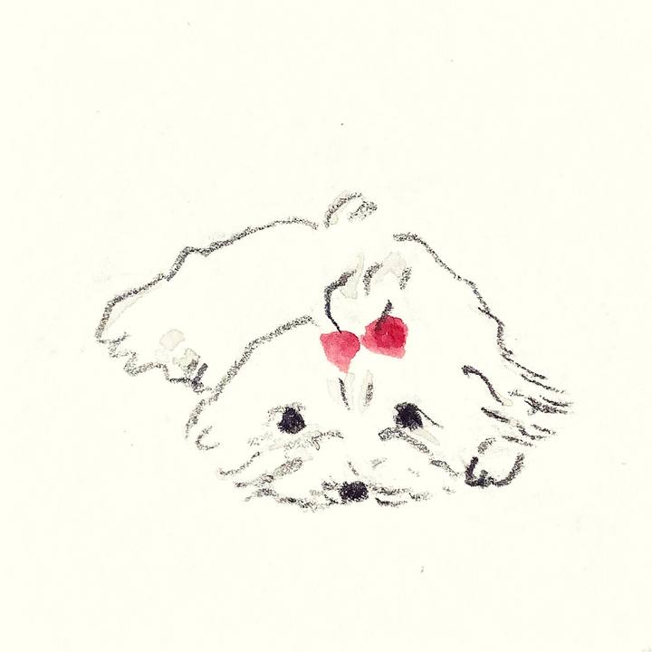 8b18b410 157a 4ed9 9df0 12405e88de23 1642493465863