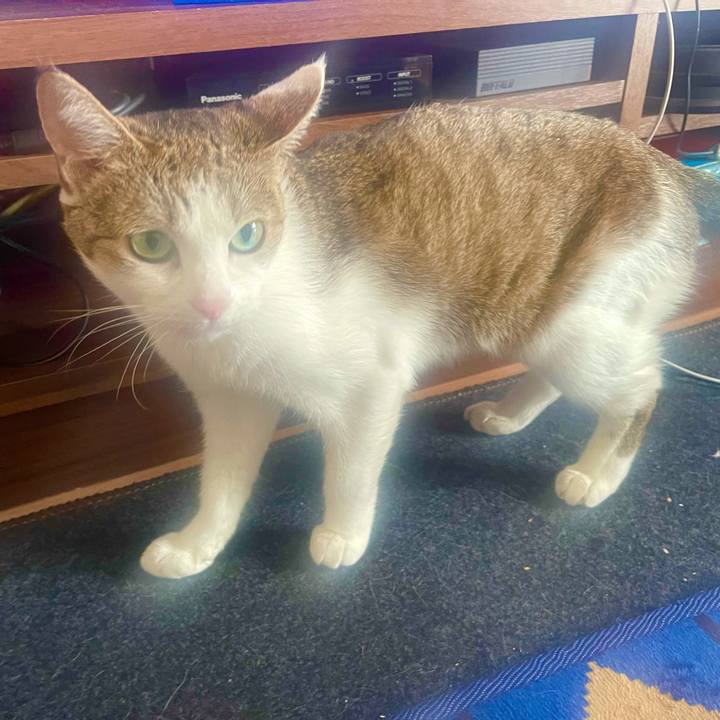 8b18c20f 2a0b 4c7b 9760 d501b7d81bae 1635654554270