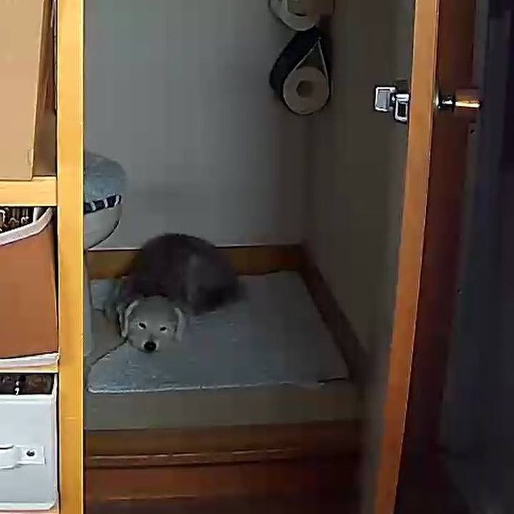 8b190321 27ad 490b 9823 0ed1c4804437 1602472435342