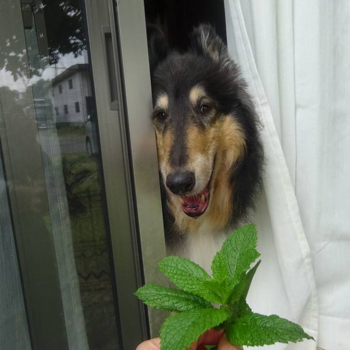 8b192037 de1b 4f84 b8d9 8ea82f0f6303 1591538684390