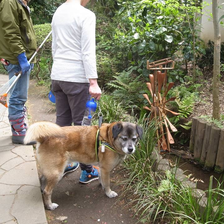 8b1943d1 4387 4c32 981d 8f072c03d169 1585322036783