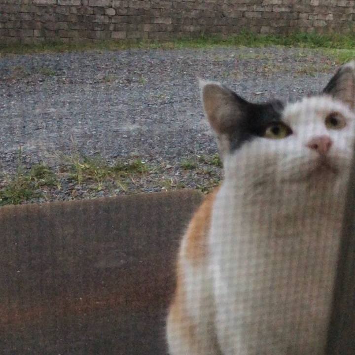 8b19852c 0103 4980 9041 12256b8cee2c 1601471497259