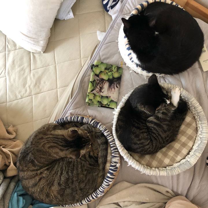 8b19a4a7 da82 4b87 8333 49a4101d6fe2 1624392123956