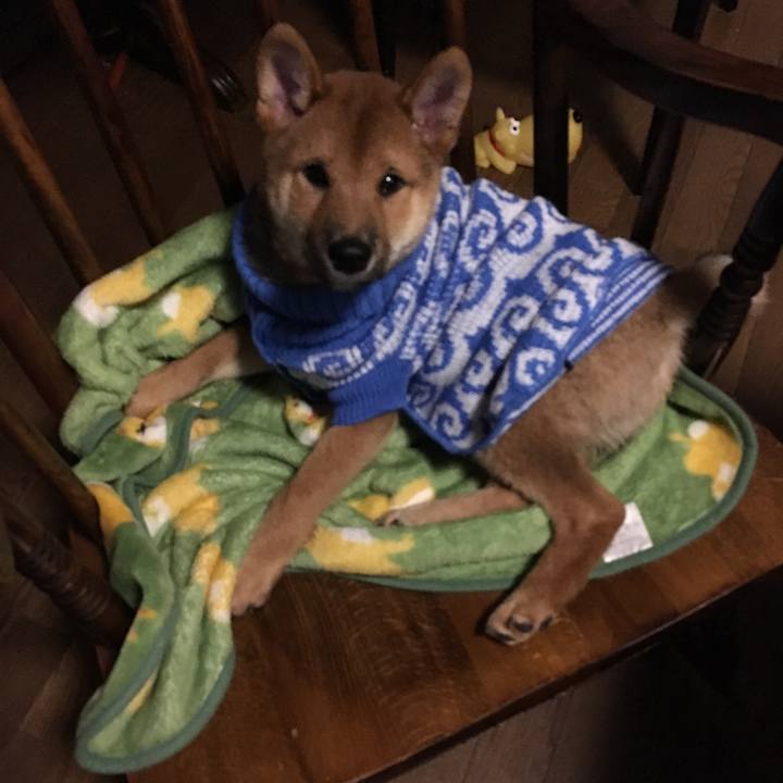 8b19a8d0 f87b 496b 9e58 fdbb62ed540f 1509574418572