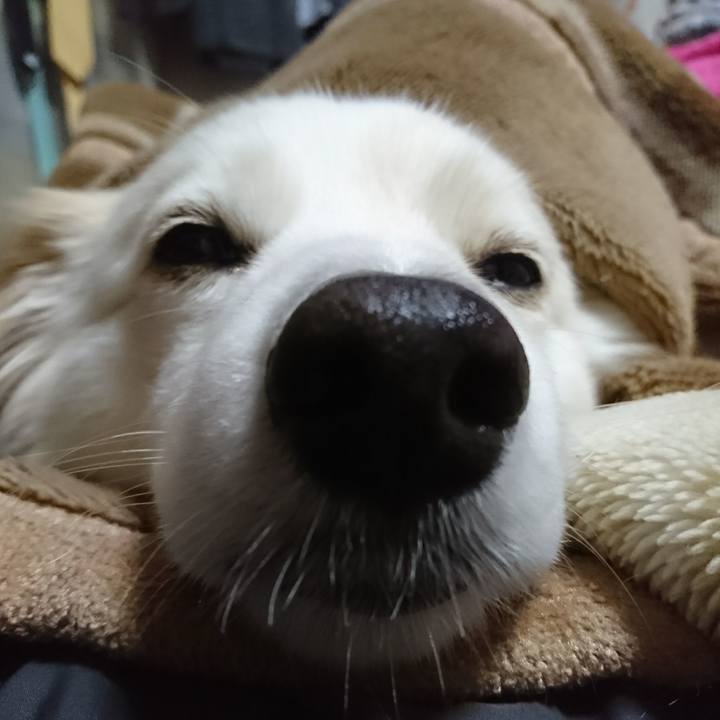 8b19c355 f6a9 4167 ab8d 99cee47e9510 1517950881559