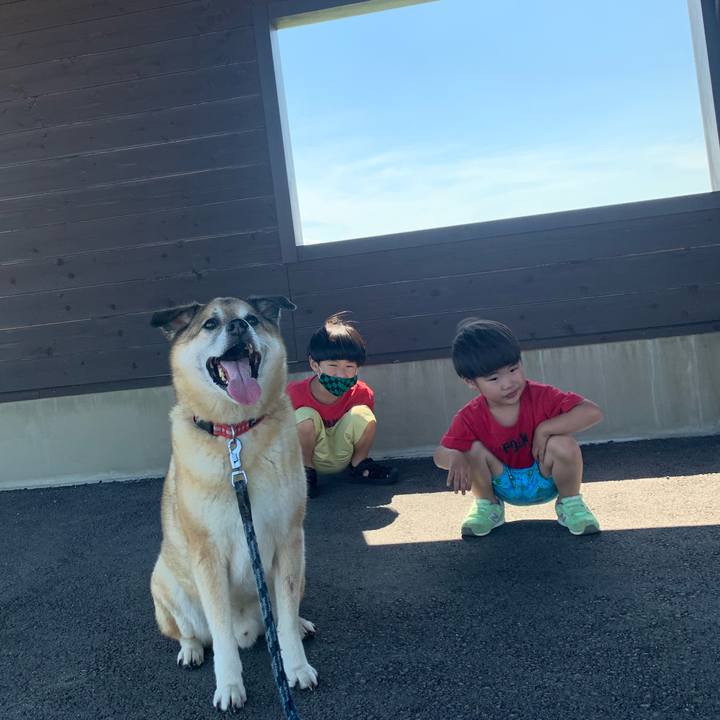 8b19d7aa b352 42be b638 f0487243d61a 1626935610894