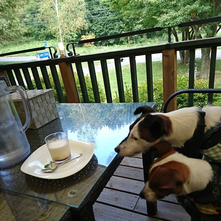 8b19eca1 0872 47a2 a40c 2542552d539a 1537692785492