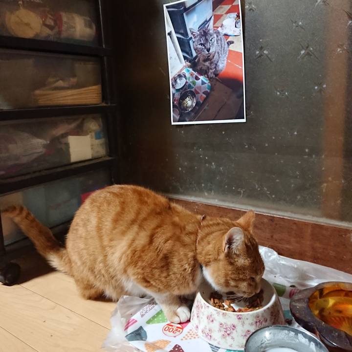 8b19f172 bf78 4ae2 af38 ae50aff4aab4 1602446066569