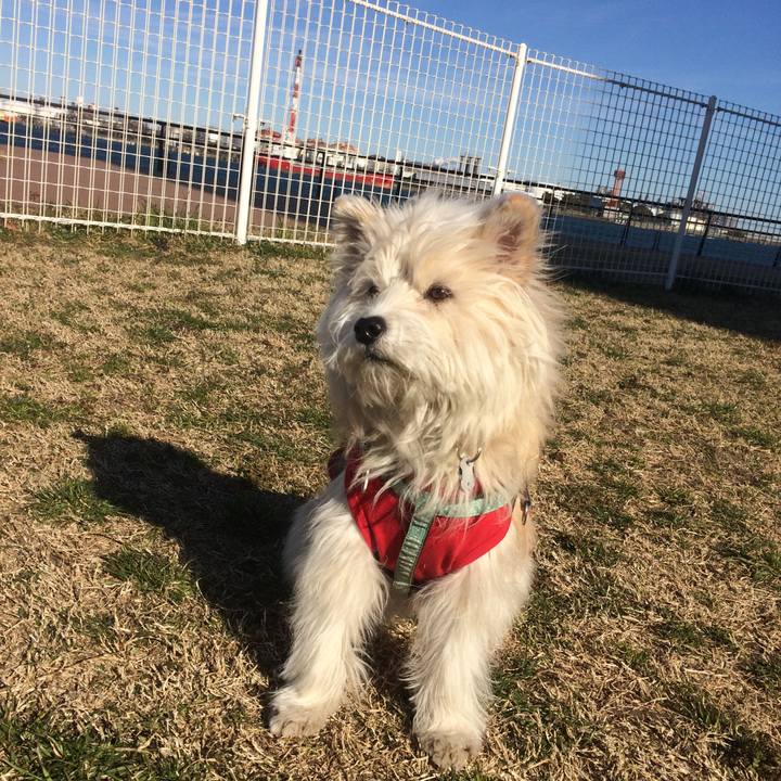 8b1a426c 8a71 4393 8c25 e8775bd810ae 1515309147447